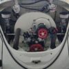 Eric F' Beetle