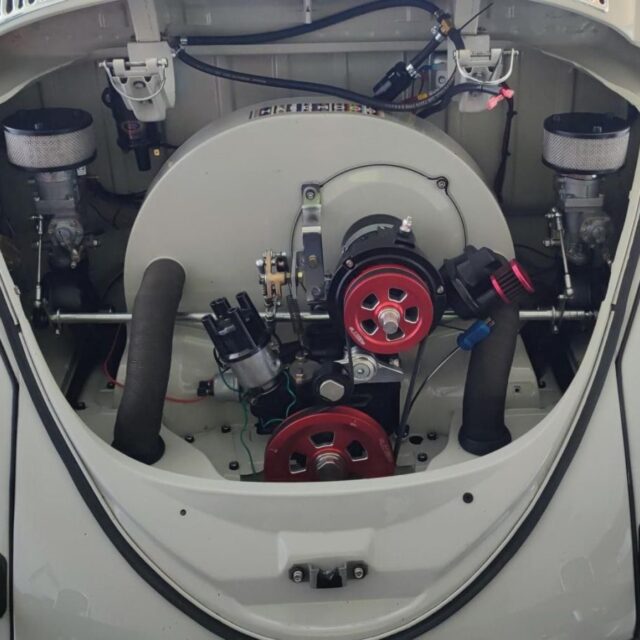Eric F' Beetle