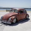 Teruyoshi Y' Beetle