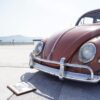 Teruyoshi Y' Beetle