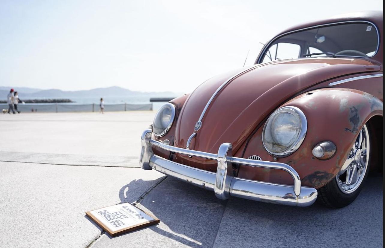 Teruyoshi Y' Beetle