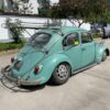 Unknown' Beetle