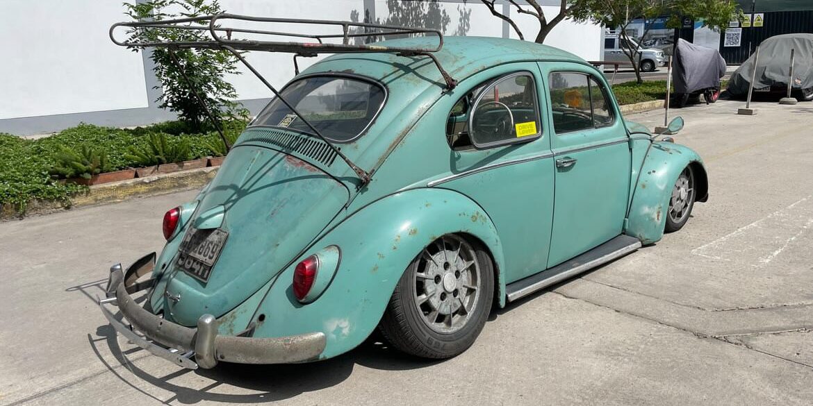 Unknown' Beetle