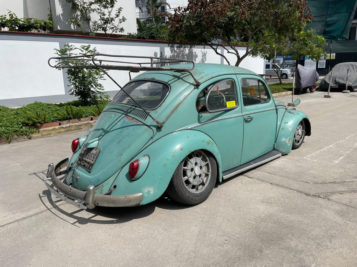 Unknown' Beetle