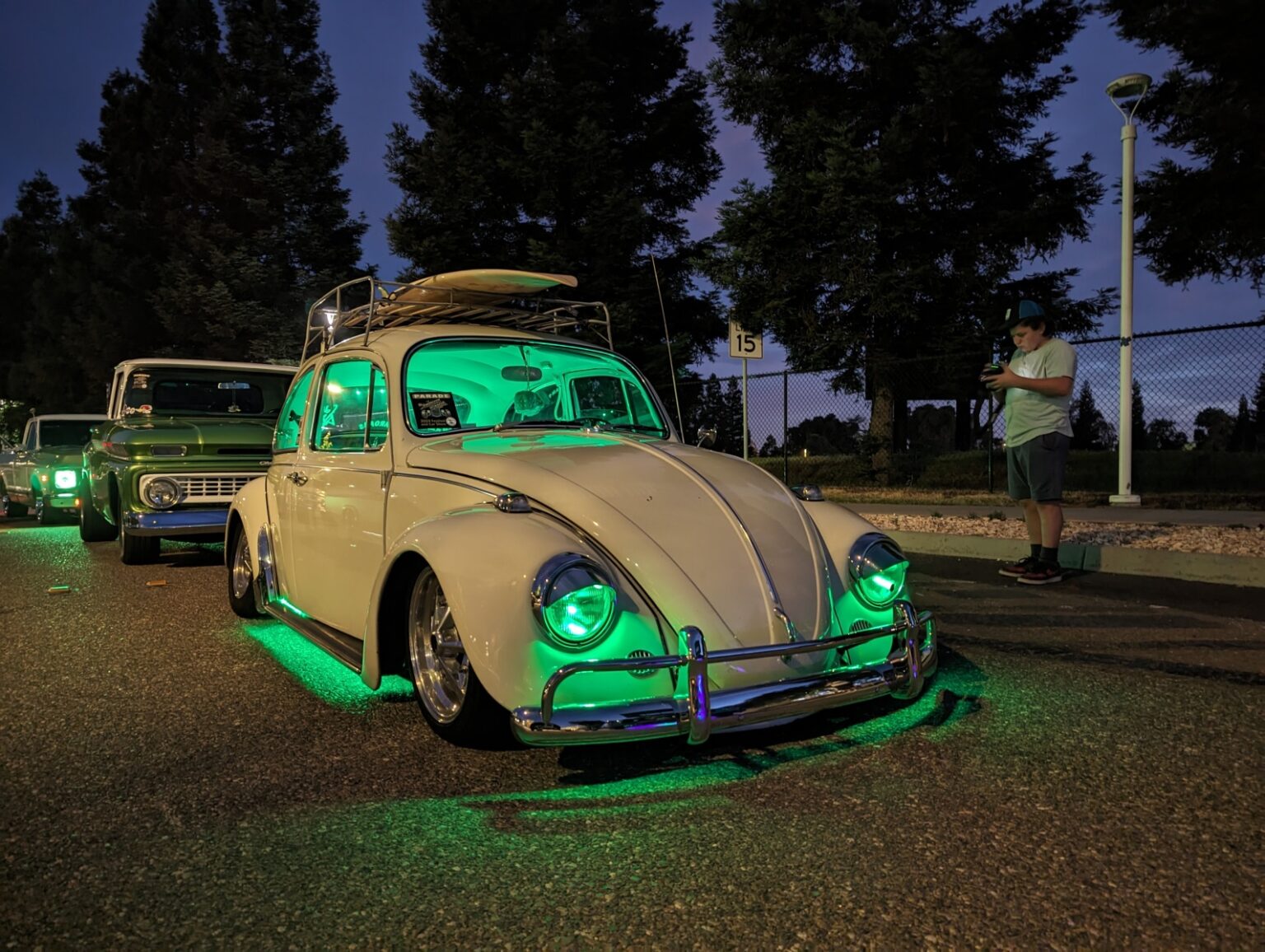 Fudail R' Beetle
