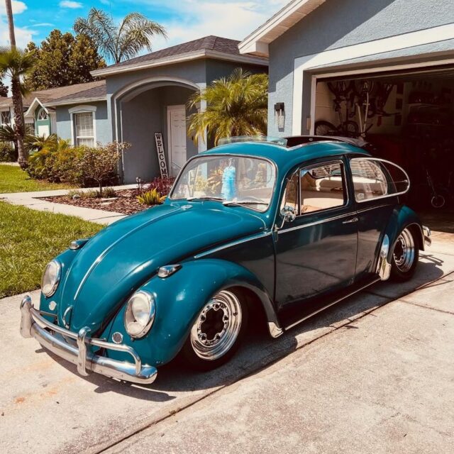 Wesley R' Beetle
