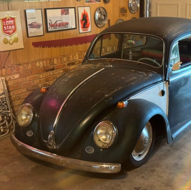 Drake R' 1964 Beetle
