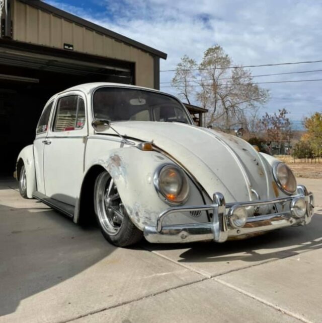 Unknown' 1965 Beetle
