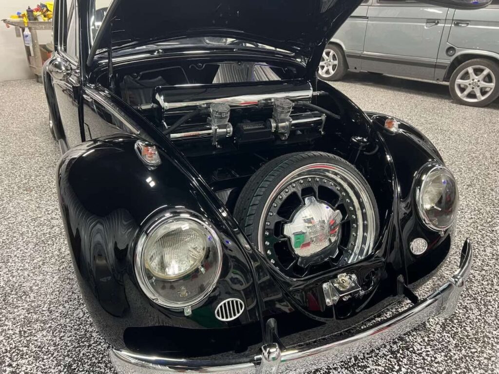 Wallace W' Beetle