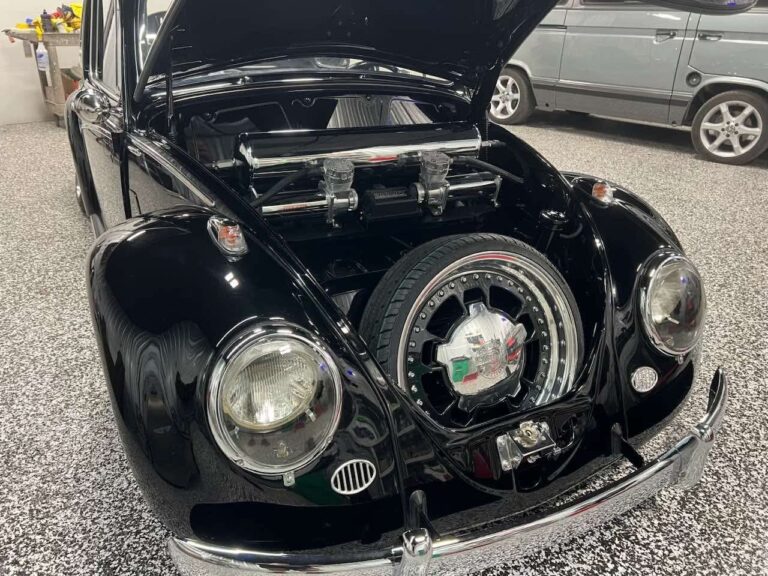 Wallace W' Beetle