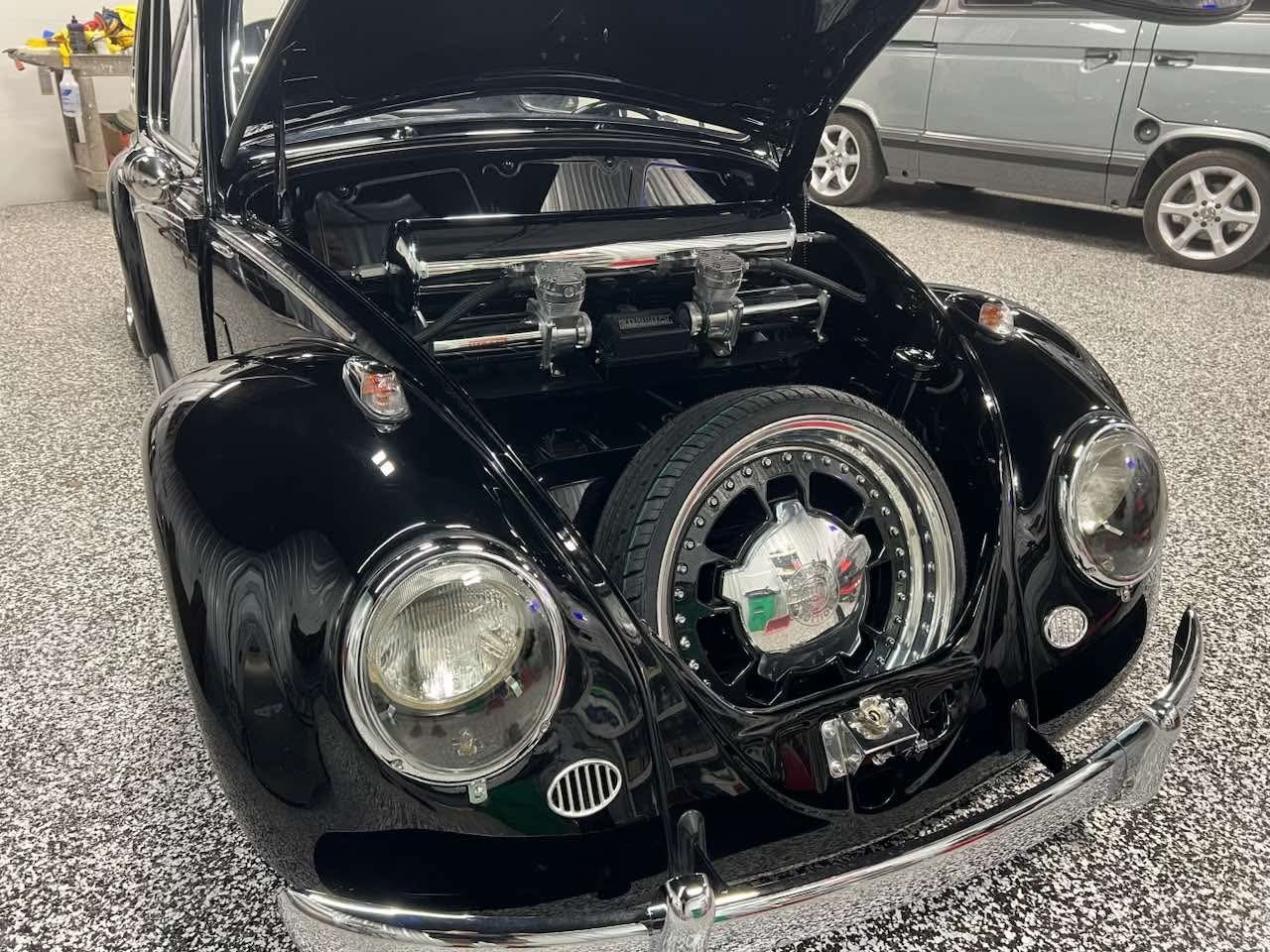 Wallace W' Beetle