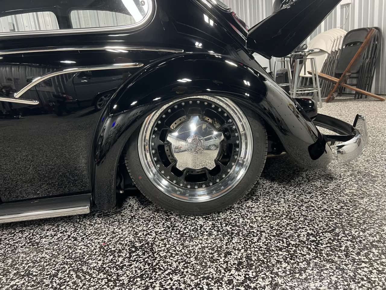 Wallace W' Beetle