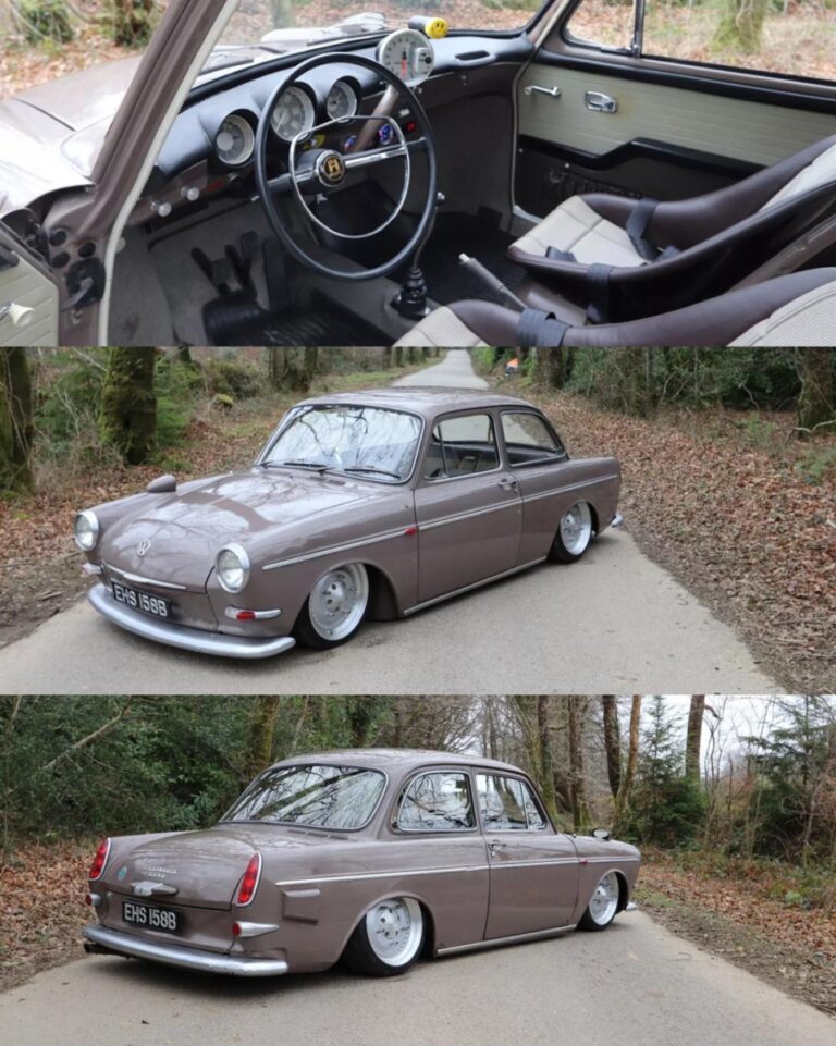 Rob M' Notchback