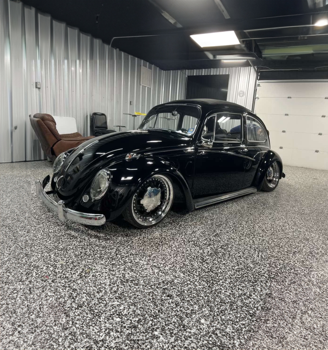 Wallace W' Beetle