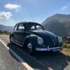 Lyndon C' 1956 Beetle