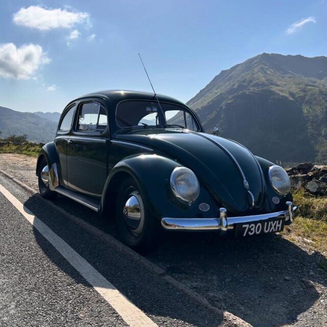 Lyndon C' 1956 Beetle