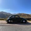 Lyndon C' 1956 Beetle