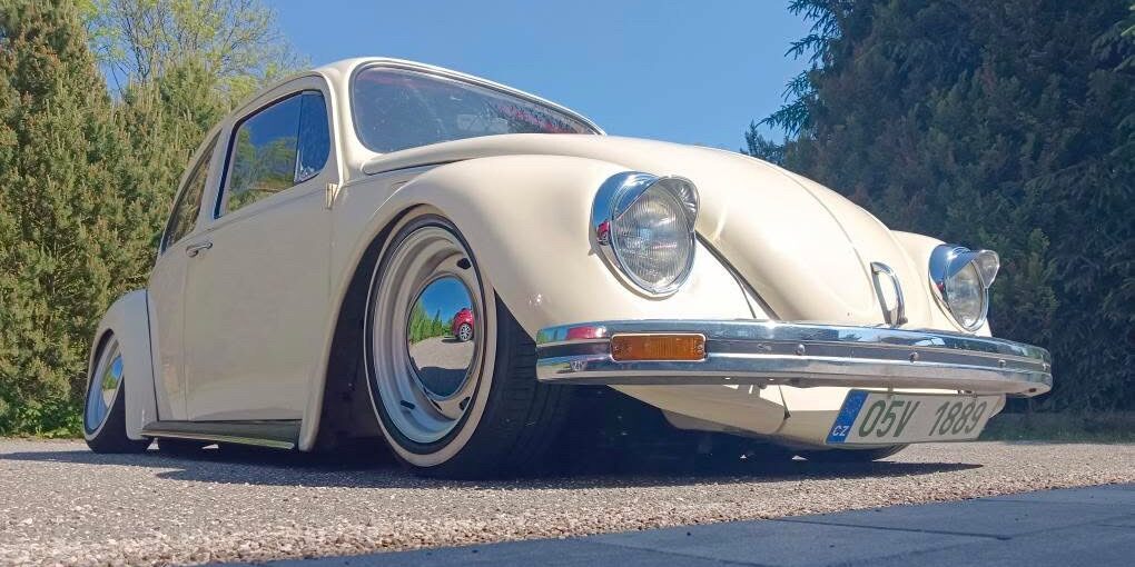 Ales H' Beetle