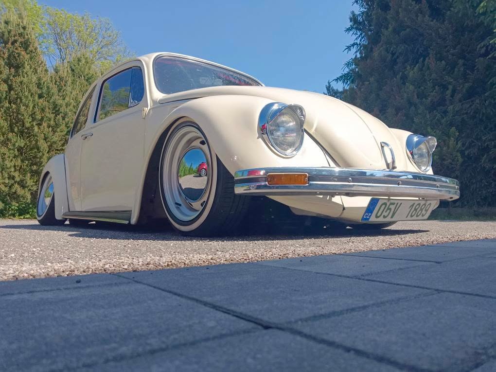 Ales H' Beetle