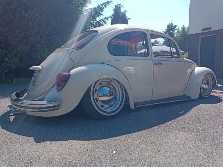 Ales H' Beetle