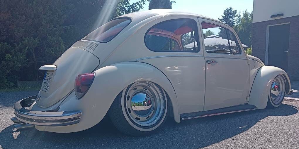 Ales H' Beetle