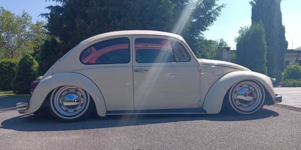 Ales H' Beetle