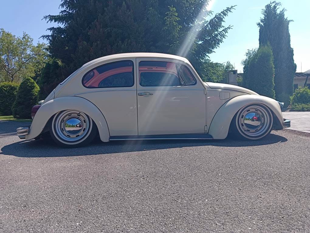 Ales H' Beetle