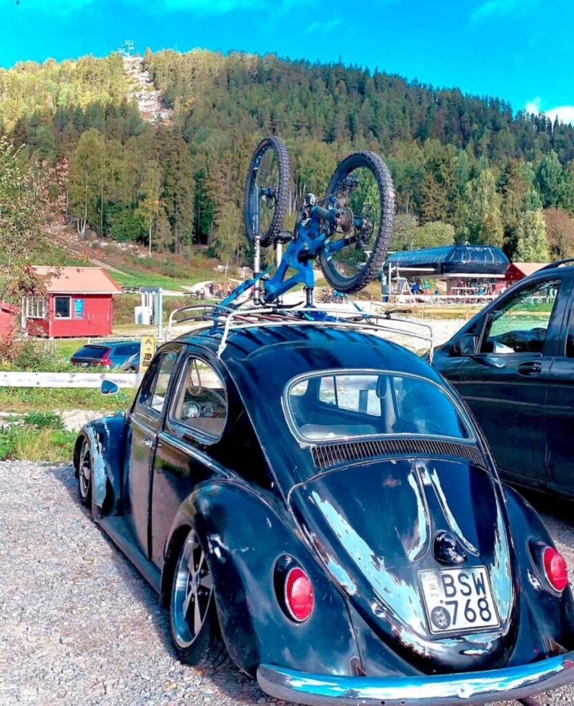 Andreas O' Beetle