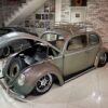 Daniel S' Beetle