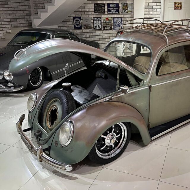 Daniel S' Beetle
