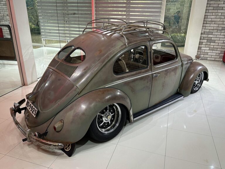Daniel S' Beetle