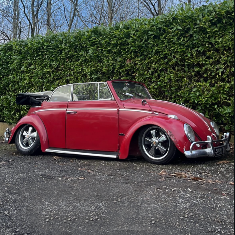 Steven N' Beetle