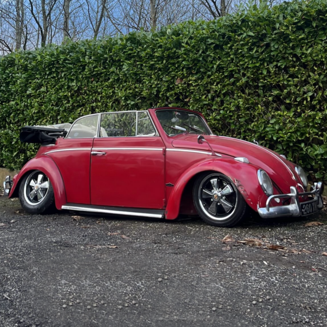 Steven N' Beetle