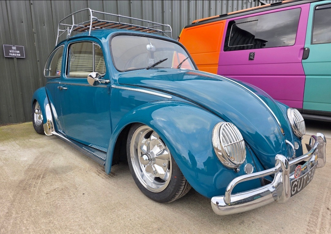 Craig D' Beetle