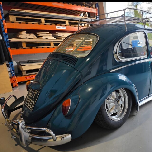 Craig D' Beetle