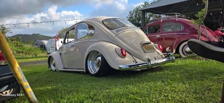Samuel T' Beetle