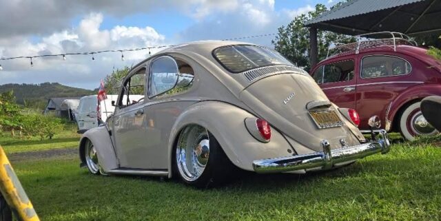 Samuel T' Beetle