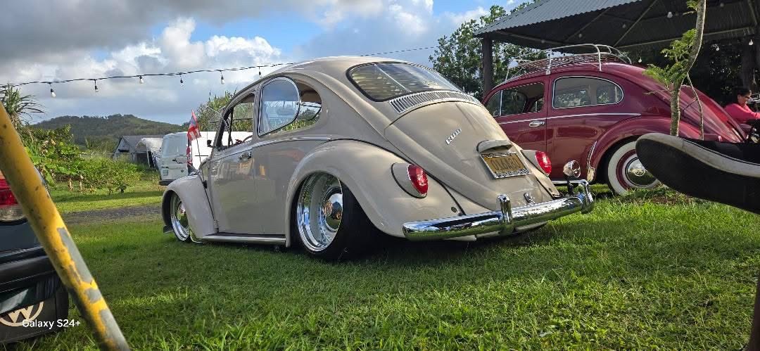 Samuel T' Beetle