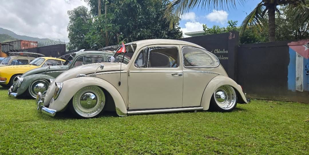 Samuel T' Beetle