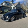 Minute P' Beetle
