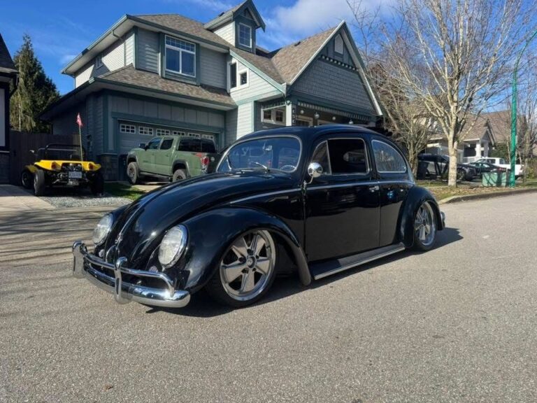 Minute P' Beetle