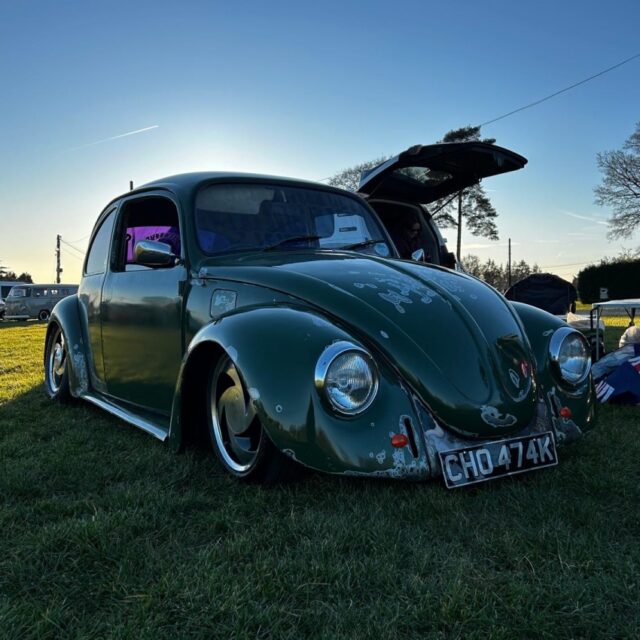 Adrian H' Beetle