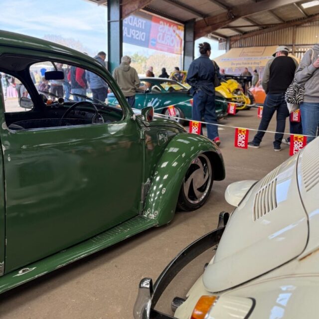 Adrian H' Beetle