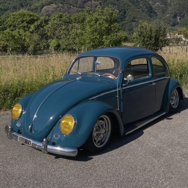 Lorenzo D' Beetle