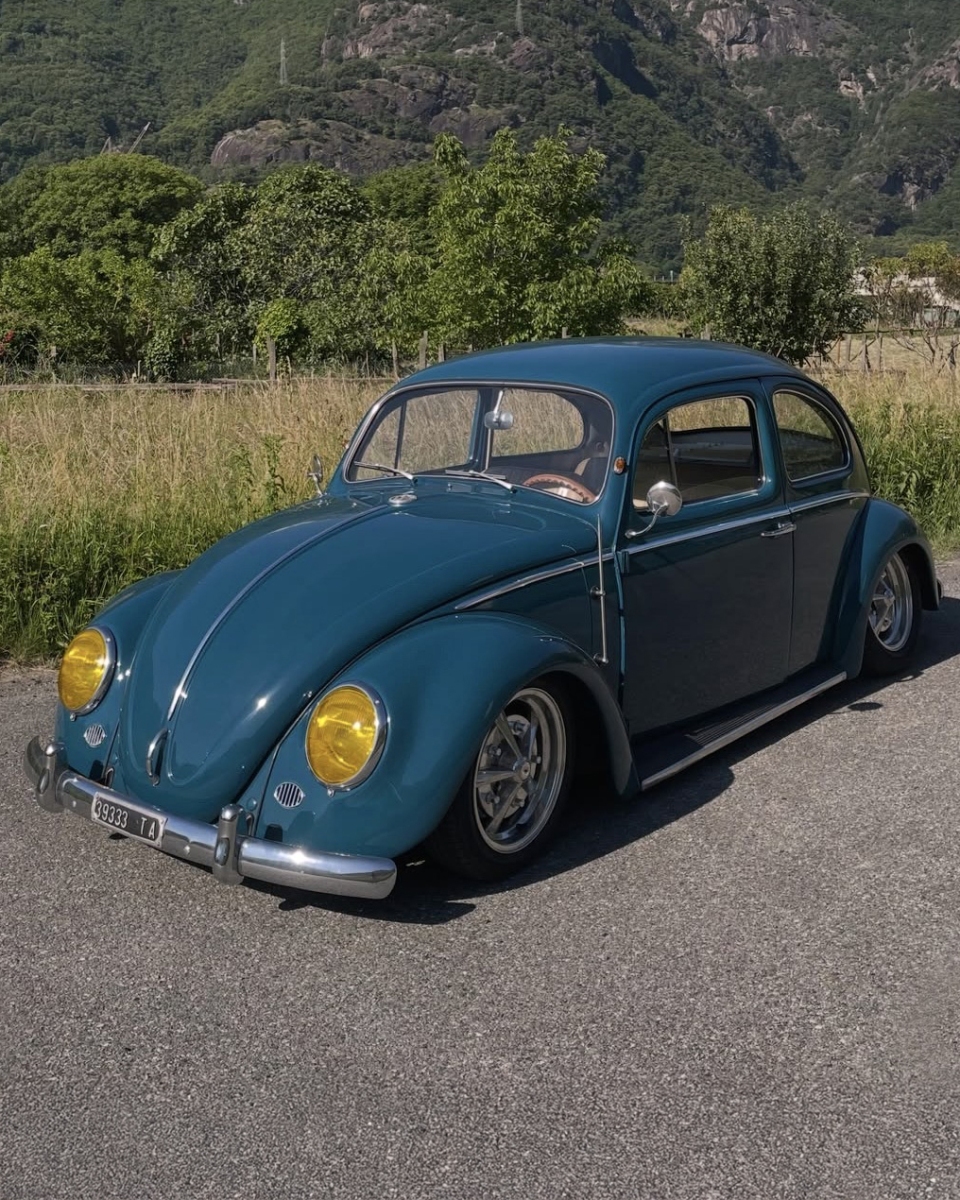 Lorenzo D' Beetle