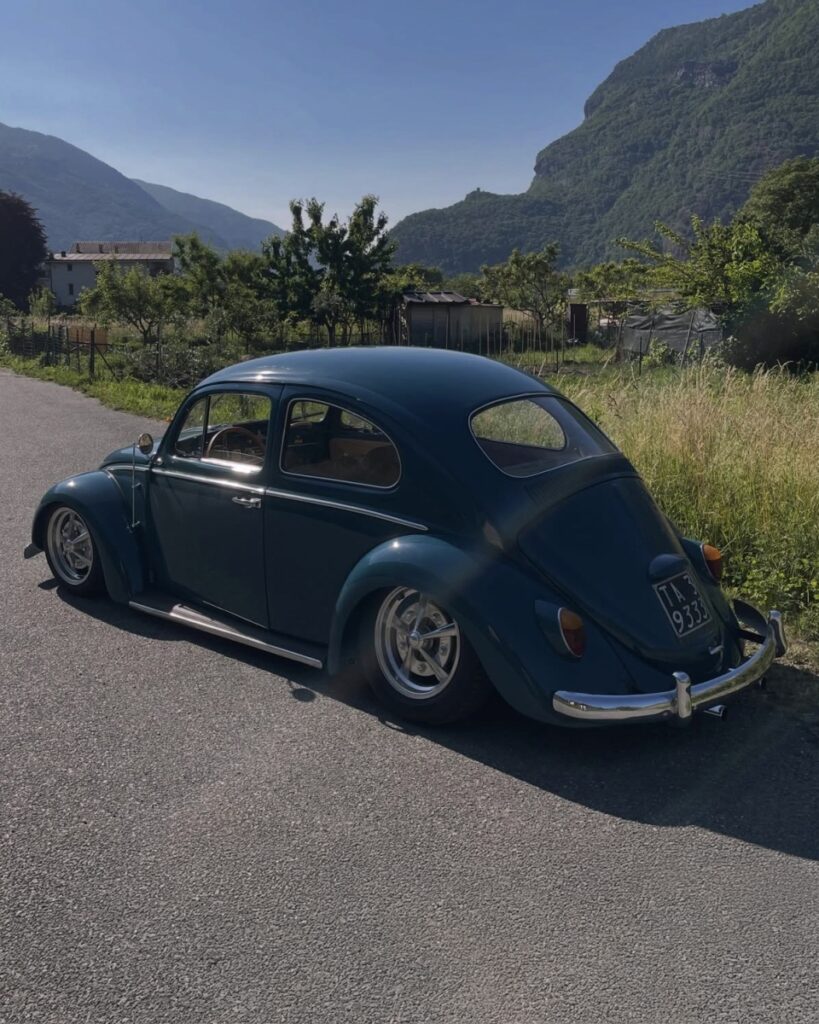 Lorenzo D' Beetle
