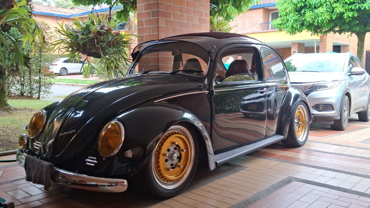 Juan R' Beetle
