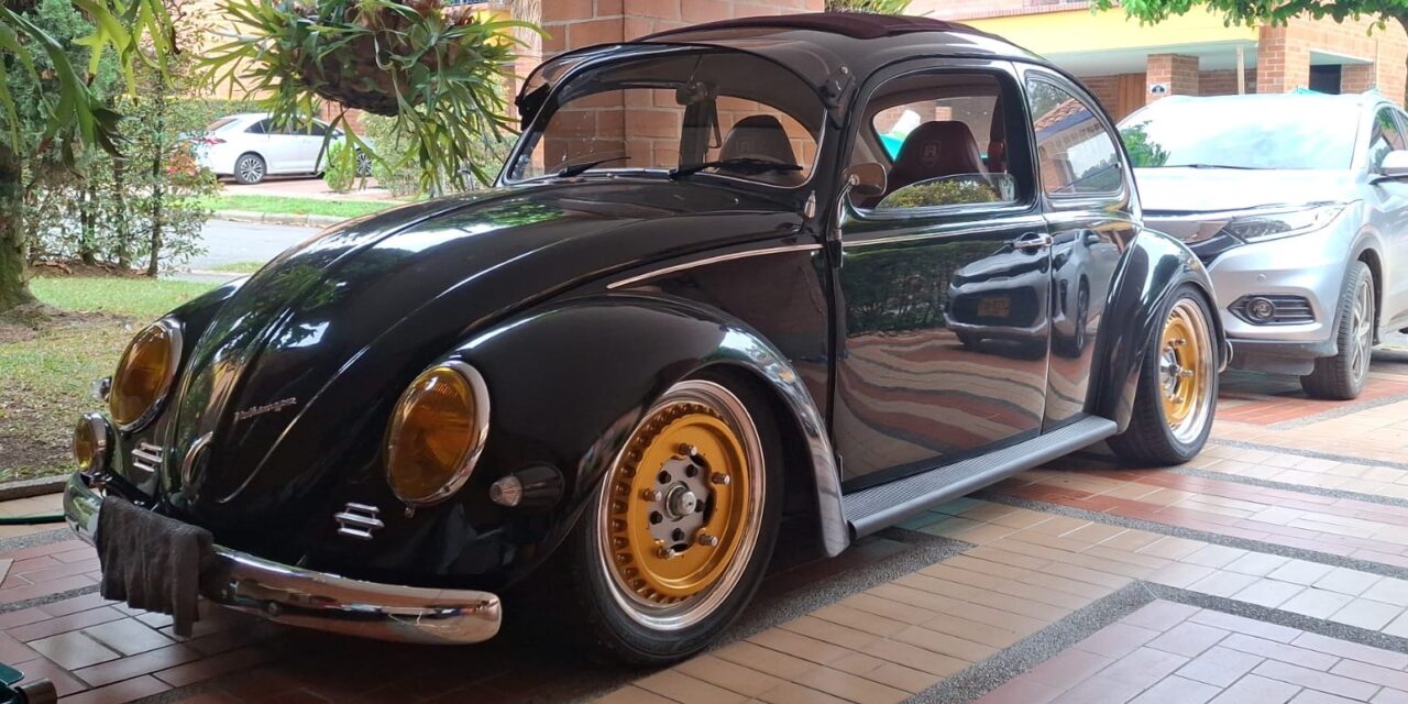 Juan R' Beetle