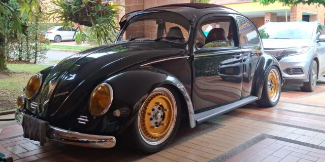 Juan R' Beetle